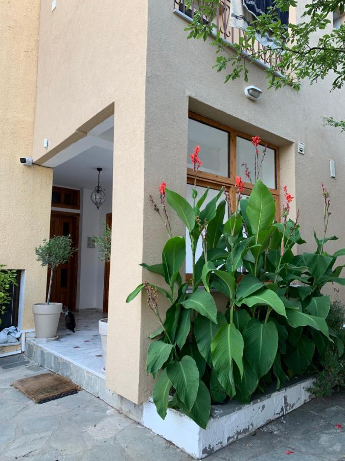 Hapinness Seaview Palaiontsiflikion Exterior foto